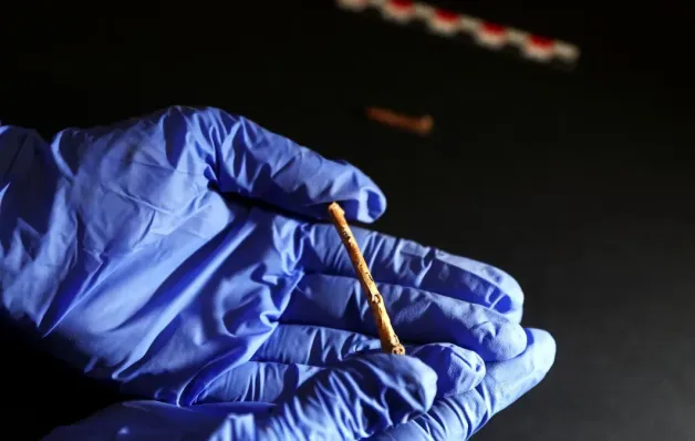 Flautas pré-históricas feitas com ossos de pássaro encantam arqueólogos em Israel