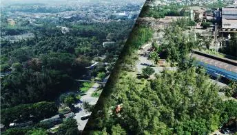 Simec Cariacica mantém área verde de 567 mil metros quadrados