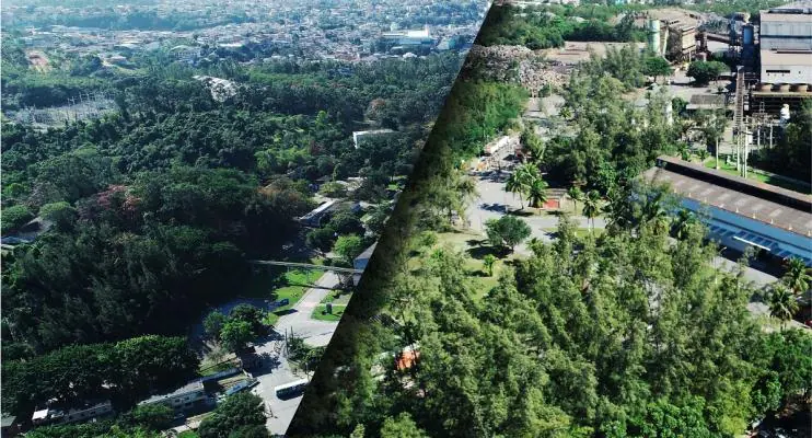 Simec Cariacica mantém área verde de 567 mil metros quadrados