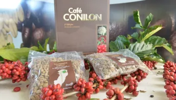Governo capixaba reduz alíquota do ICMS para o Café Conilon no Espírito Santo