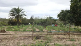 Governo da Bahia entrega 120 hectares irrigados a famílias assentadas em Ponto Novo