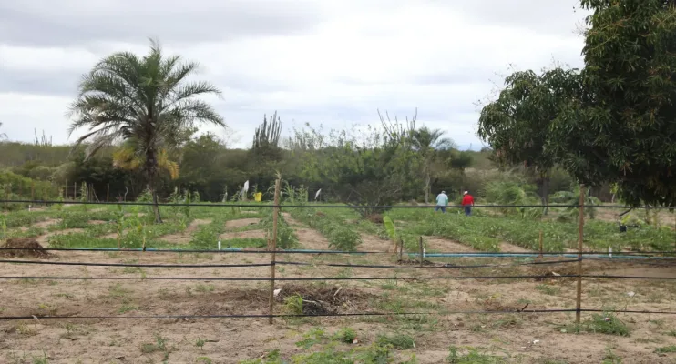 Governo da Bahia entrega 120 hectares irrigados a famílias assentadas em Ponto Novo