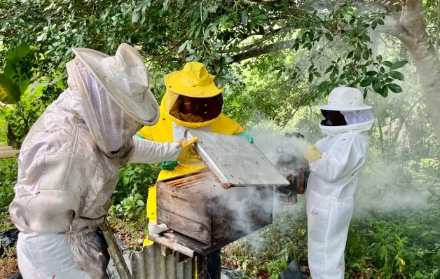 Governo da Bahia fortalece a apicultura no Recôncavo com entrega de 220 kits