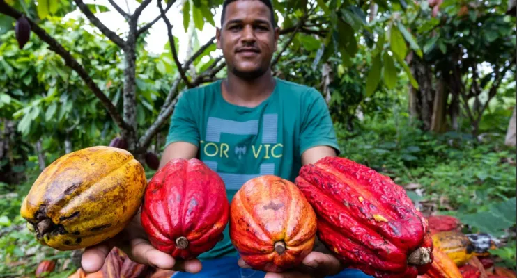 Governo da Bahia lança projeto de US$ 150 milhões para preservar a Mata Atlântica e apoiar agricultura familiar