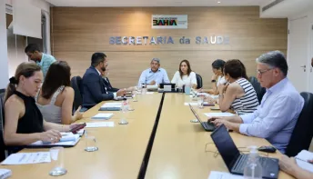Governo da Bahia traça plano de ação para enfrentamento da dengue em municípios baianos