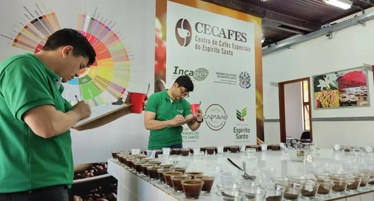 Governo do Espírito Santo abre inscrições para o 3º Prêmio de Cafés Especiais