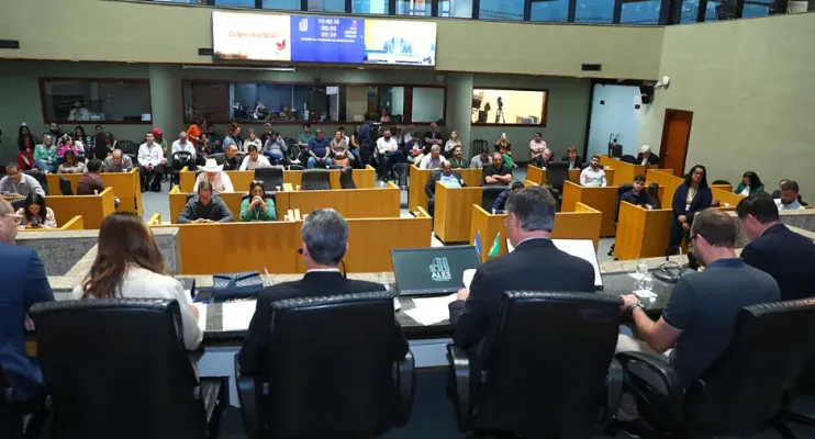 Gripe aviária no Espírito Santo: autoridades reforçam vigilância e descartam riscos para humanos