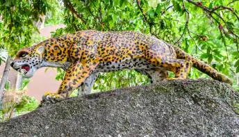 Gruta da Onça encanta visitantes com a natureza e histórias do Centro de Vitória