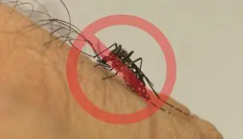 Hábitos simples do dia a dia ajudam no combate às arboviroses