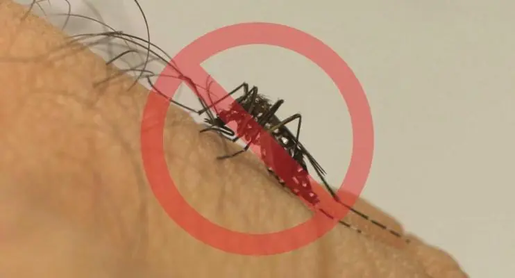 Hábitos simples do dia a dia ajudam no combate às arboviroses