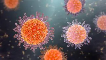 Herpes zoster: vacina já está disponível em clínicas particulares do Brasil