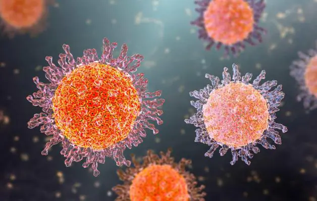 Herpes zoster: vacina já está disponível em clínicas particulares do Brasil