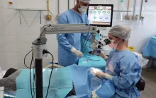 HGL realiza mutirão de cirurgias de catarata e atende mais de 500 pacientes até domingo