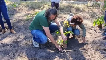 Horto florestal: no dia mundial do meio ambiente, São Mateus ganha um presente para esta e as próximas gerações