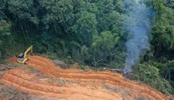 Ibama aplicou 3.800 autos de infração contra desmatamento na Amazônia este ano