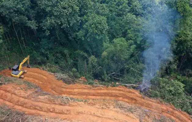 Ibama aplicou 3.800 autos de infração contra desmatamento na Amazônia este ano