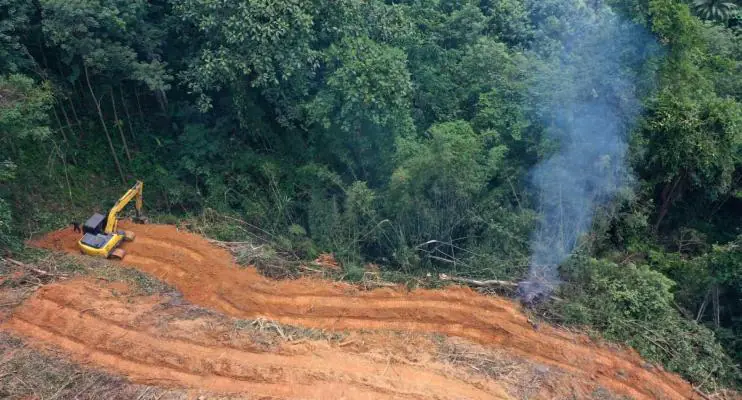 Ibama aplicou 3.800 autos de infração contra desmatamento na Amazônia este ano