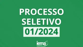 Iema publica edital de processo seletivo para nível superior