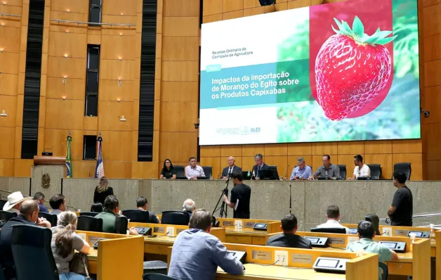Importação de morango do Egito pressiona produtores e mobiliza Comissão da Ales