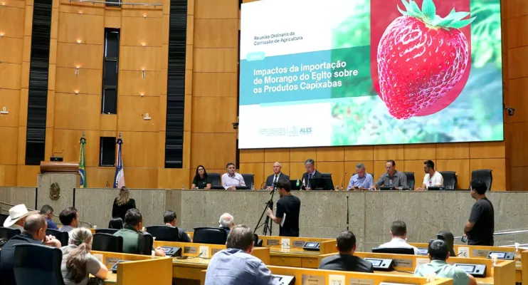 Importação de morango do Egito pressiona produtores e mobiliza Comissão da Ales