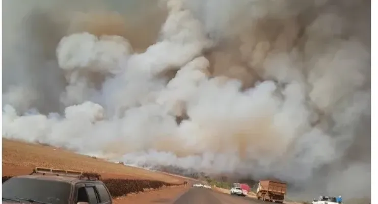 Incêndio causa 'parede de fumaça' ao atingir canavial e reserva ambiental no interior de MG