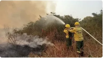 Incêndio em santuário no Pantanal se espalha e ameaça patrimônio natural