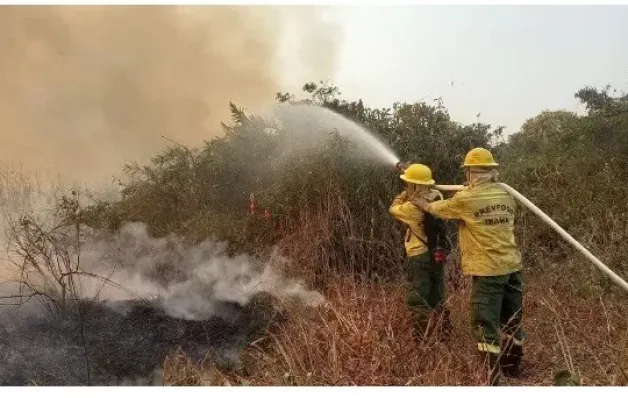 Incêndio em santuário no Pantanal se espalha e ameaça patrimônio natural