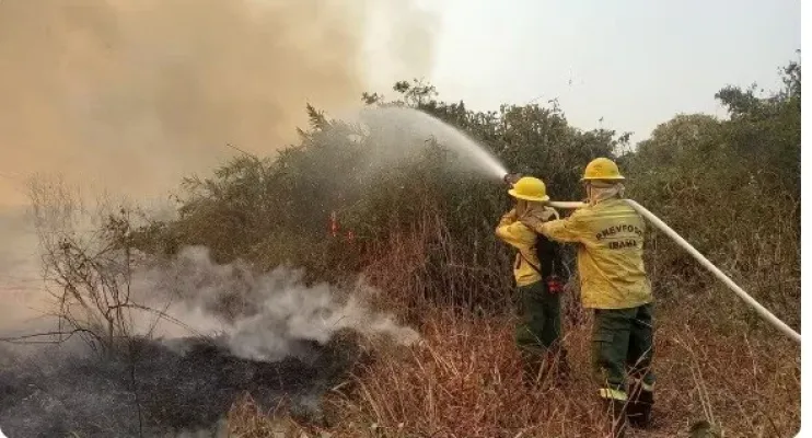 Incêndio em santuário no Pantanal se espalha e ameaça patrimônio natural