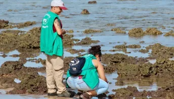 Inscrições abertas para programa de voluntariado no Parque de Itaúnas