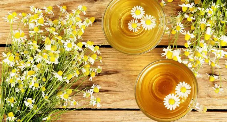 Insônia? Três infusões que são calmantes naturais