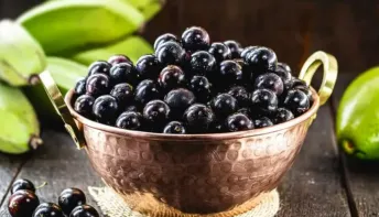 Jabuticaba entra no ranking das melhores frutas do mundo e se destaca pelos benefícios à saúde
