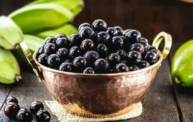 Jabuticaba entra no ranking das melhores frutas do mundo e se destaca pelos benefícios à saúde