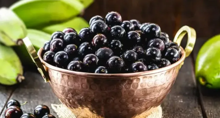 Jabuticaba entra no ranking das melhores frutas do mundo e se destaca pelos benefícios à saúde
