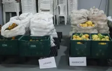 Jaguaré realiza a primeira entrega de alimentos do Programa CDA de 2026