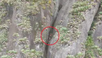 Jovem é resgatado nu após cair em fenda de quase 100 m de altura no ES