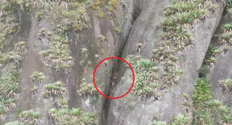 Jovem é resgatado nu após cair em fenda de quase 100 m de altura no ES
