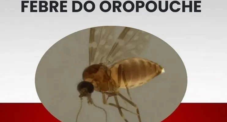 Lacen confirma circulação de Febre do Oropouche no Espírito Santo