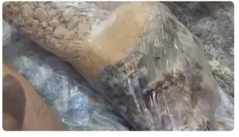 Leite com soda cáustica e água oxigenada era vendido no Brasil e Venezuela; marcas