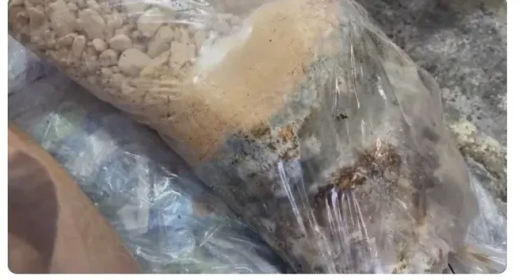 Leite com soda cáustica e água oxigenada era vendido no Brasil e Venezuela; marcas