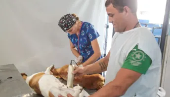 Linhares abre agenda de castração gratuita para cães e gatos em maio