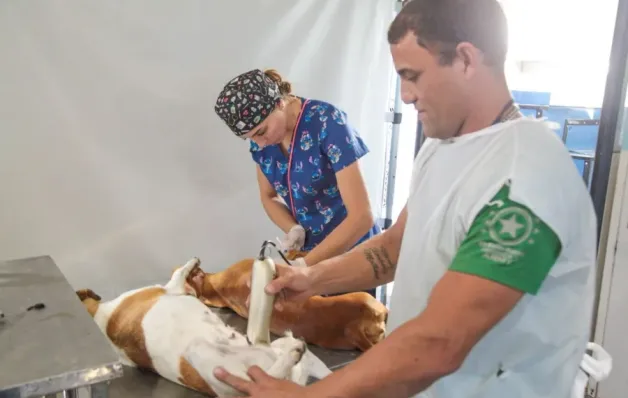 Linhares abre agenda de castração gratuita para cães e gatos em maio