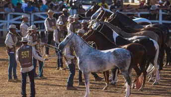 Linhares recebe Exposição Rural do Cavalo Mangalarga Marchador, no Parque de Exposições