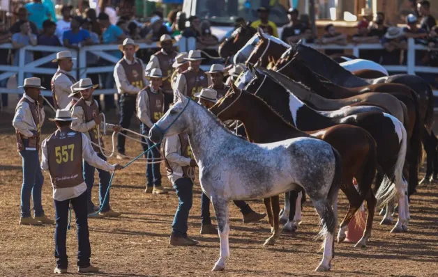 Linhares recebe Exposição Rural do Cavalo Mangalarga Marchador, no Parque de Exposições