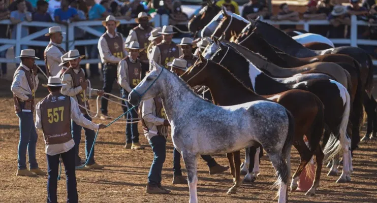 Linhares recebe Exposição Rural do Cavalo Mangalarga Marchador, no Parque de Exposições