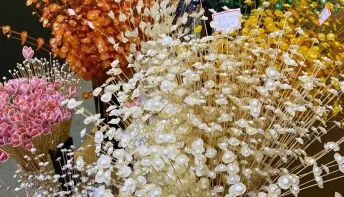Maior Feira de Artesanato do Estado começa nesta sexta-feira (22/9/23)