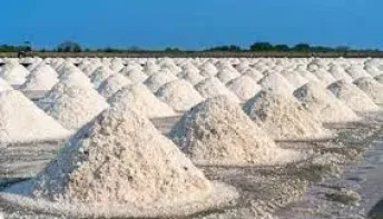 Maior jazida do mineral na América Latina fica em Conceição da Barra no ES e chegou a ser leiloada, mas nunca foi explorada