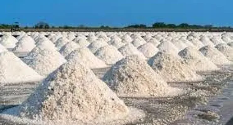 Maior jazida do mineral na América Latina fica em Conceição da Barra no ES e chegou a ser leiloada, mas nunca foi explorada