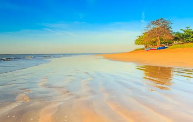 Mais de 80% das praias da Serra estão próprias para banho, aponta boletim