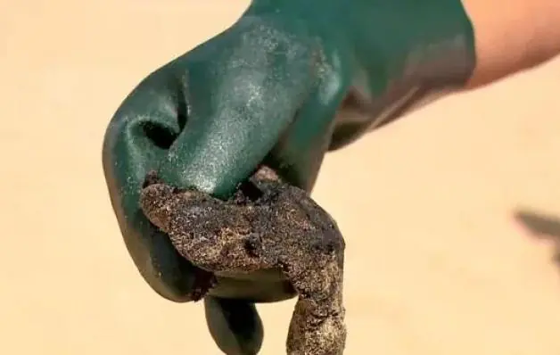  Mais de meia tonelada de óleo é retirada de praia berçário de tartarugas em Guriri