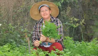 Mulheres se destacam em diferentes setores do Agro Capixaba